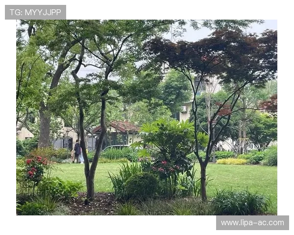 丽波真人测试最新版本上线，详细介绍测试流程与注意事项帮助玩家快速上手